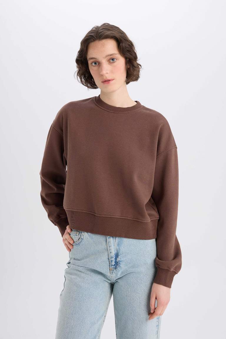 Boxy Fit Basic Sweatshirt