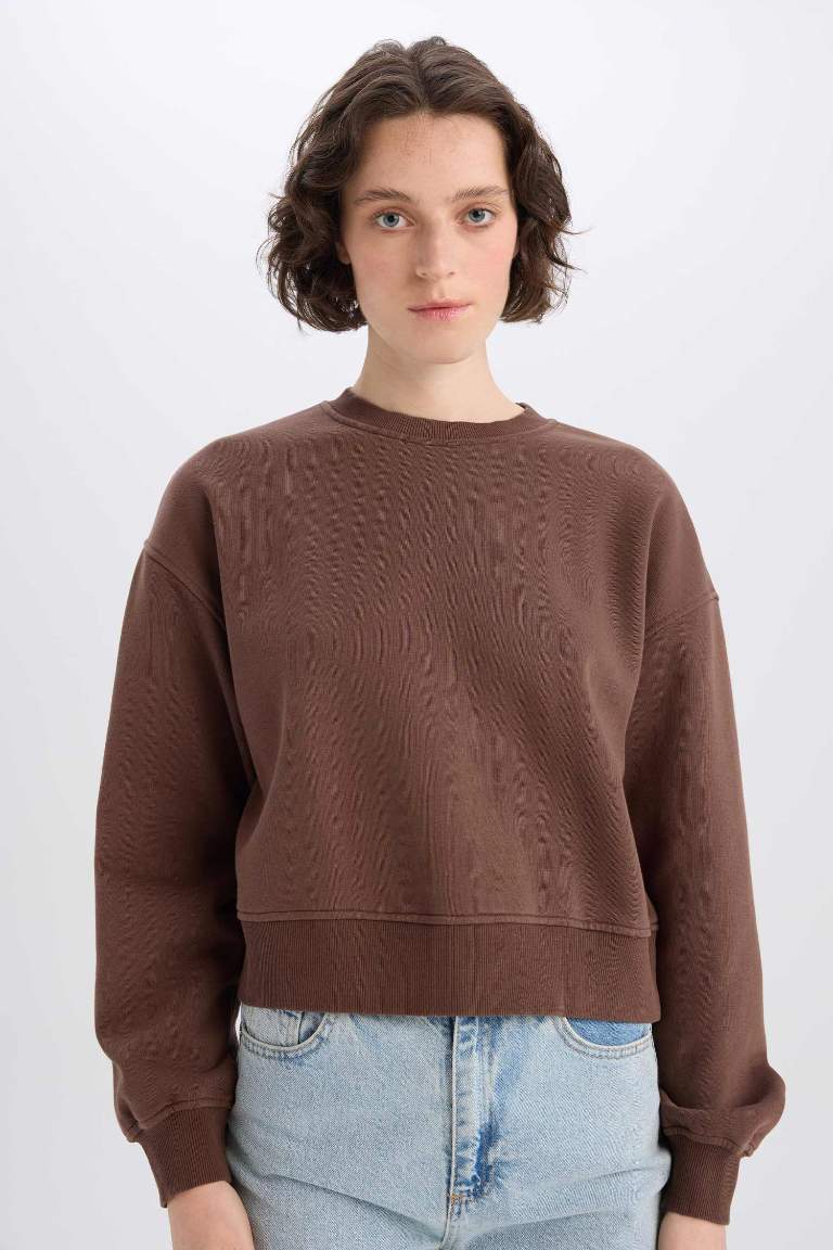 Boxy Fit Basic Sweatshirt