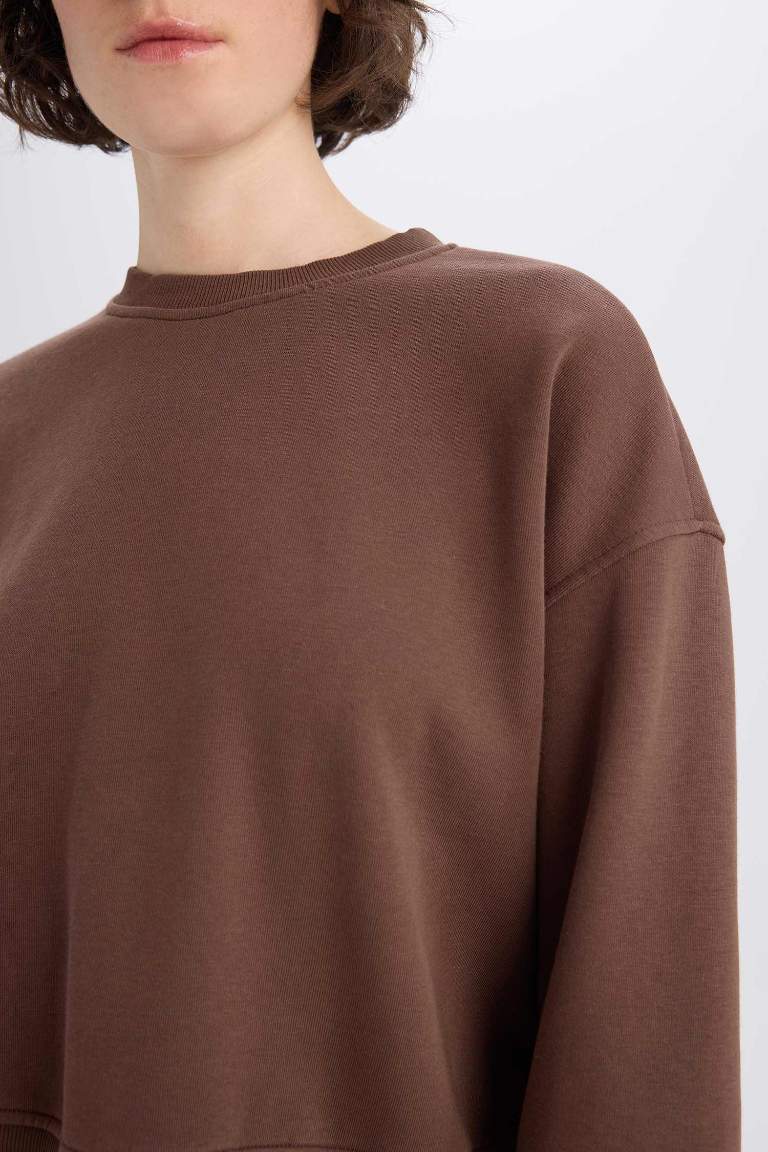 Boxy Fit Basic Sweatshirt