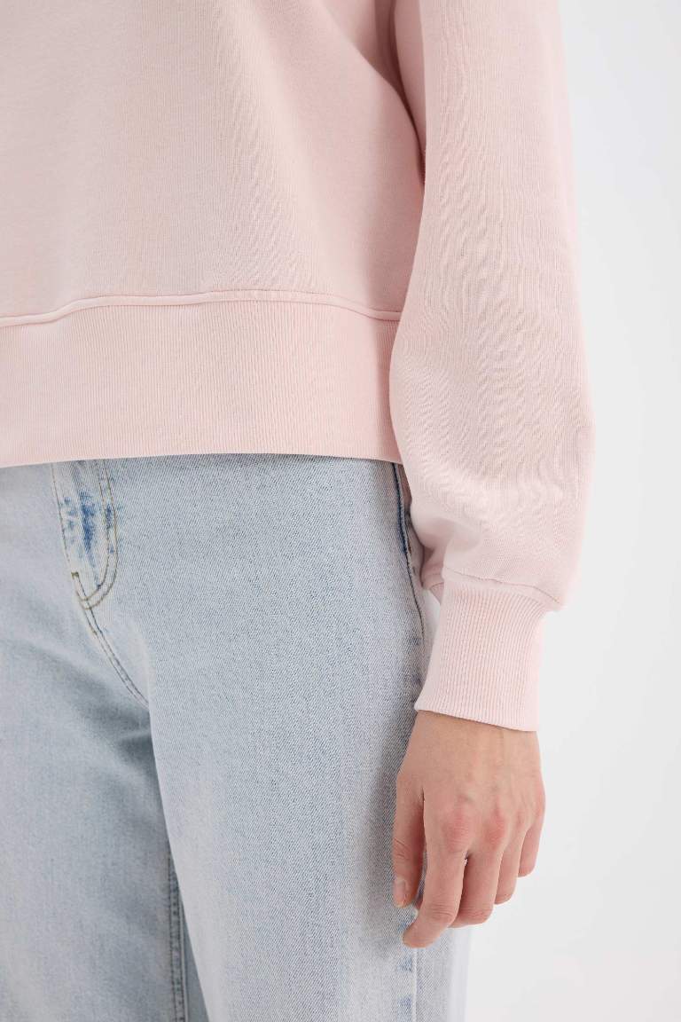 Boxy Fit Basic Thick Fabric Sweatshirt