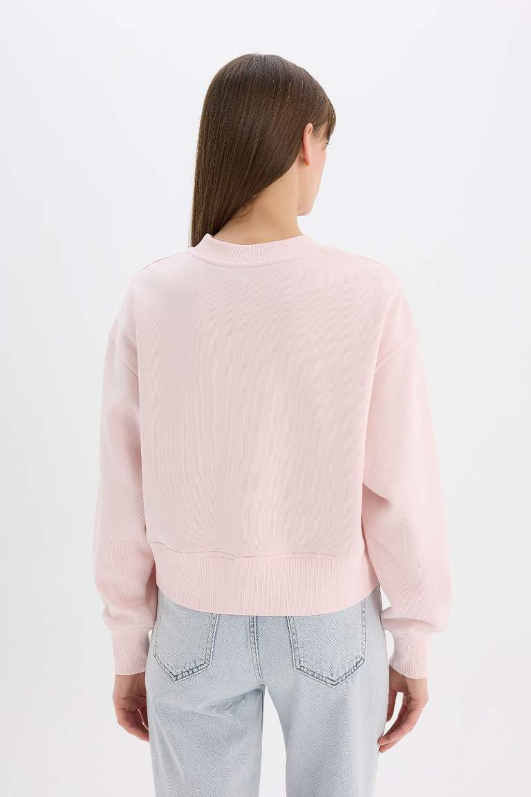 Boxy Fit Basic Thick Fabric Sweatshirt