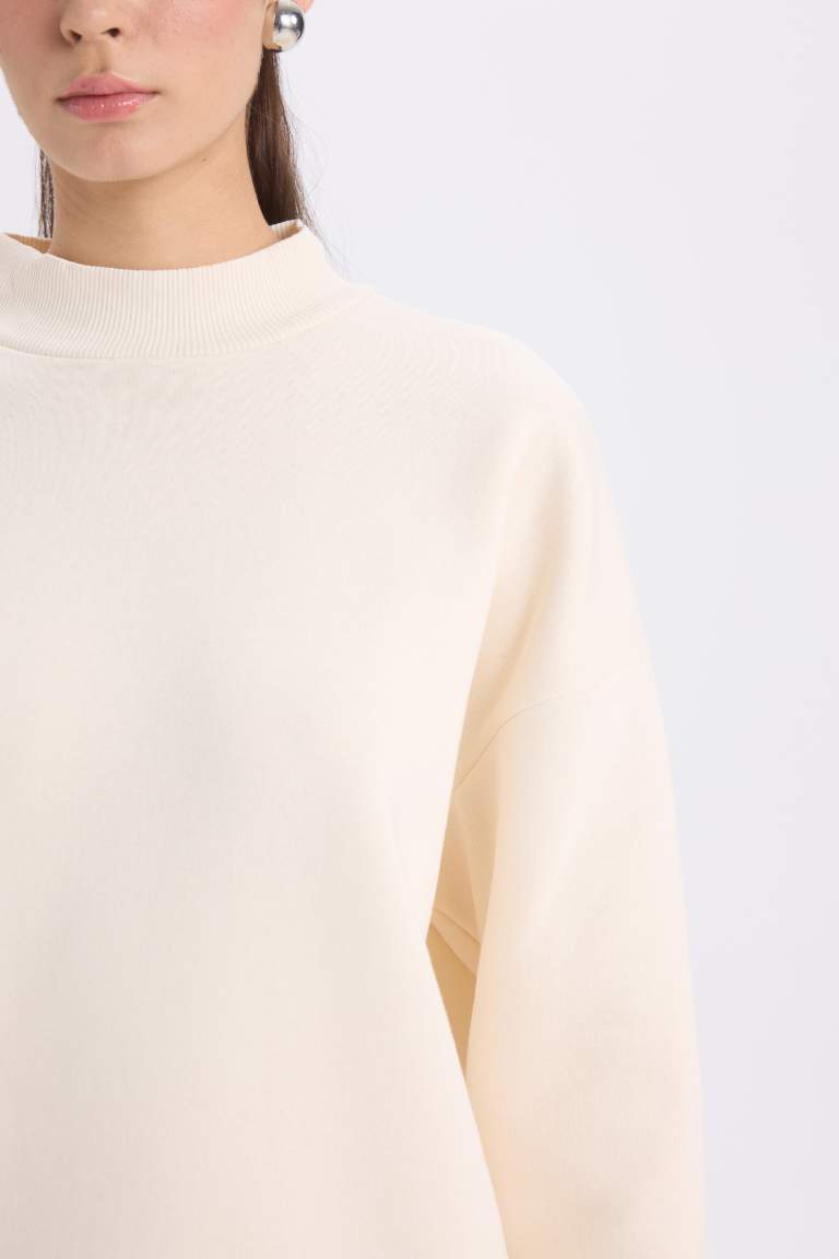 Oversize Fit Half Turtleneck Basic Thick Sweatshirt