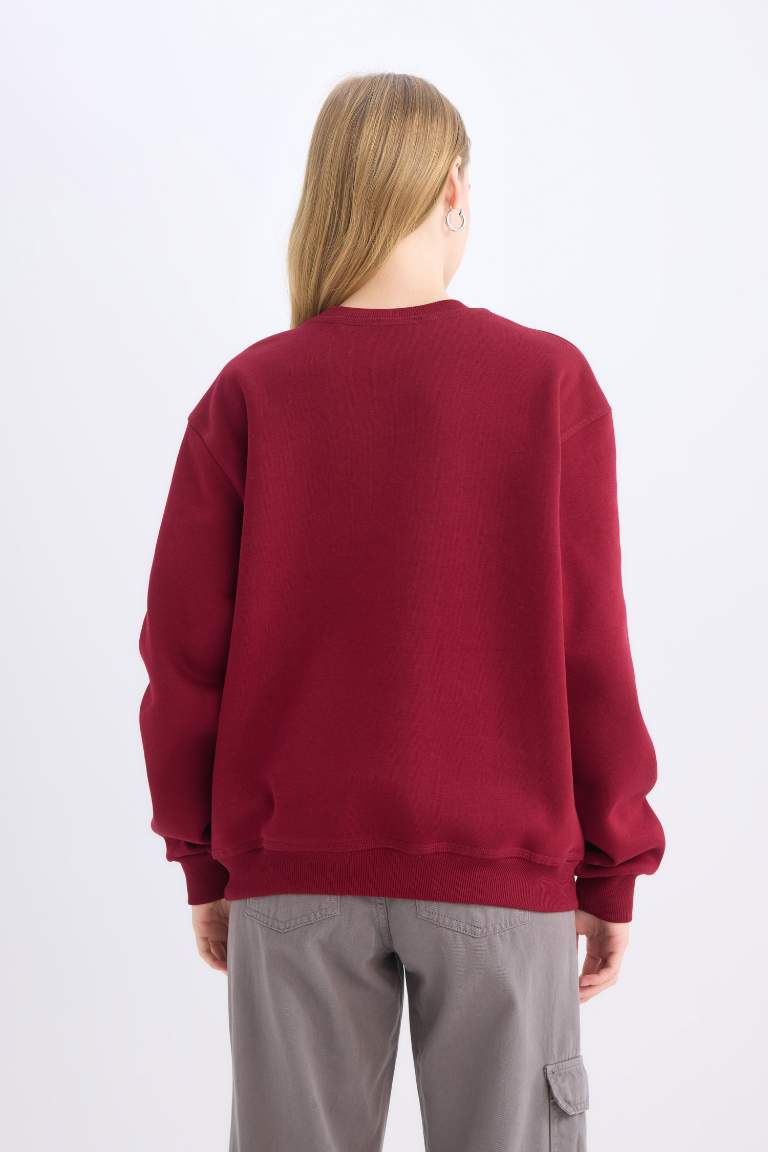 Coool Loose Fit Bisiklet Yaka Şerit Detaylı Kalın Sweatshirt