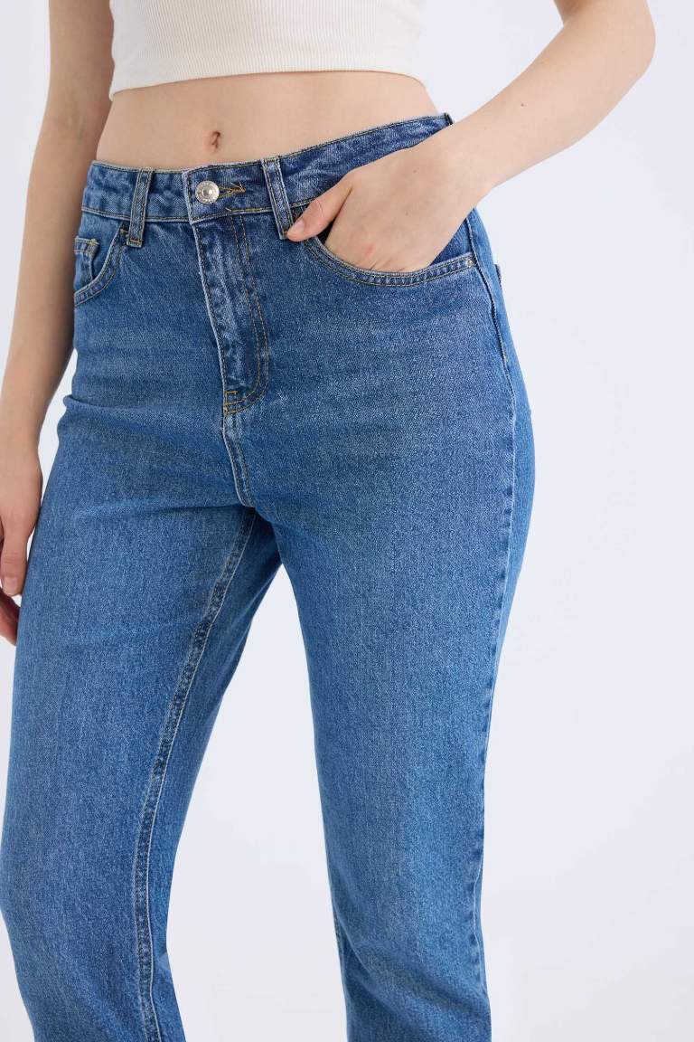 Mary Vintage Straight Fit High Waist Ankle Length Washed Jeans