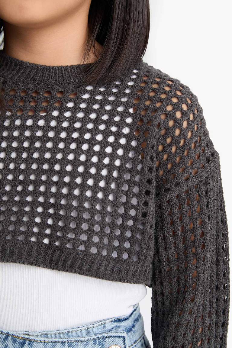 Girl Crew Neck Openwork Crop Pullover