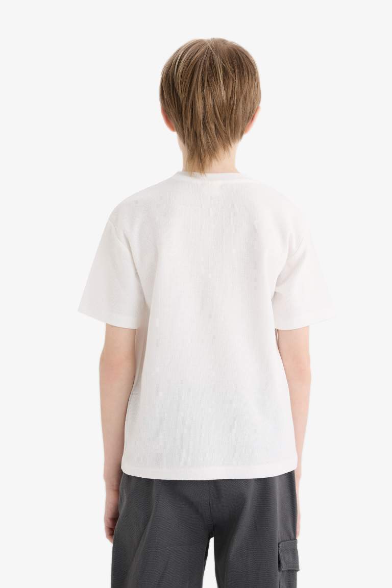 Boy Regular Fit Crew Neck T-Shirt