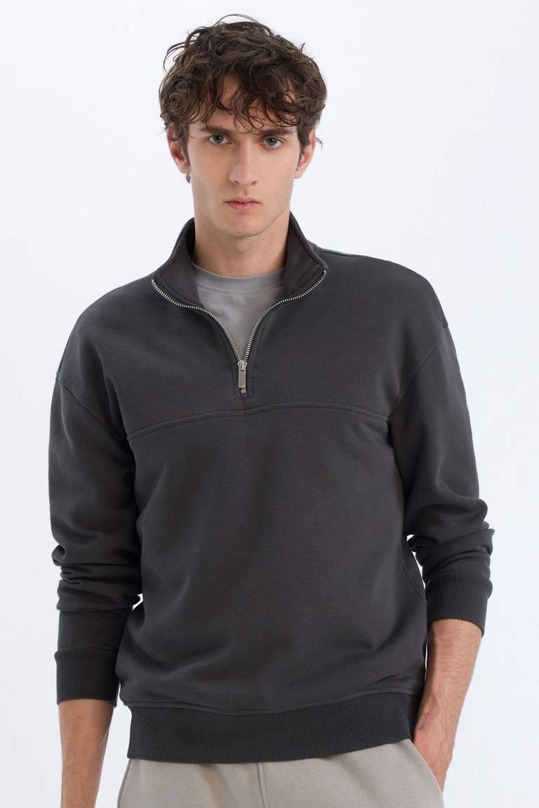 Relax Fit Stand Collar Zippered Basic Thick Sweatshirt