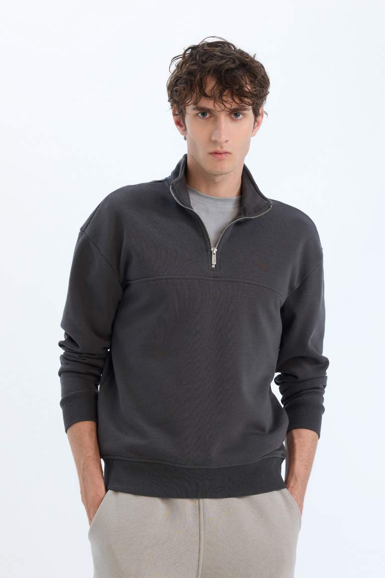 Relax Fit Stand Collar Zippered Basic Thick Sweatshirt