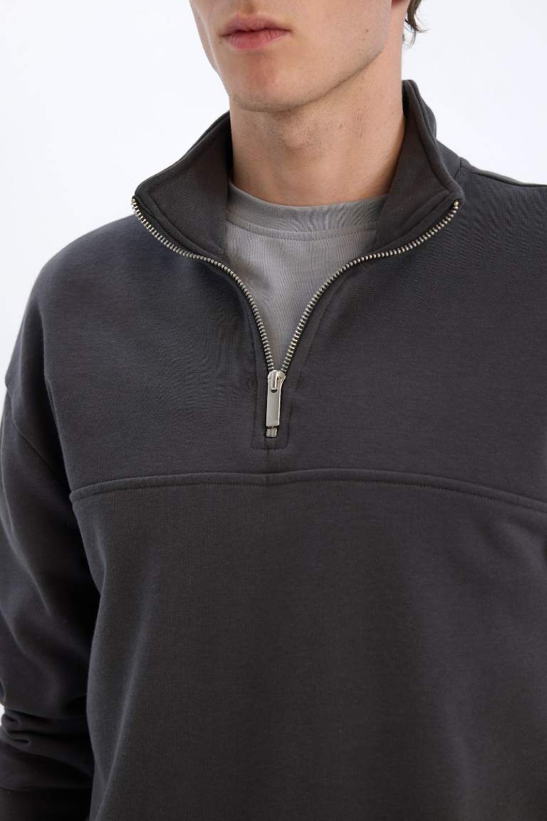 Relax Fit Stand Collar Zippered Basic Thick Sweatshirt