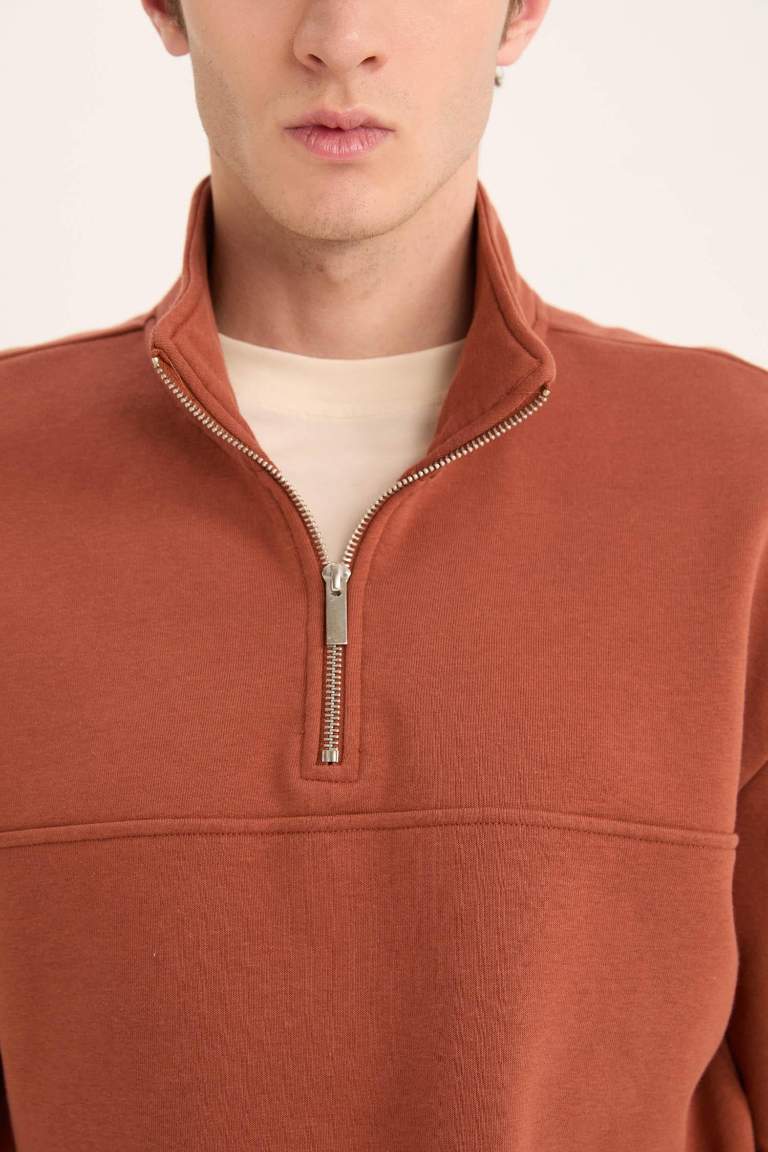 Relax Fit Stand Collar Zippered Basic Thick Sweatshirt