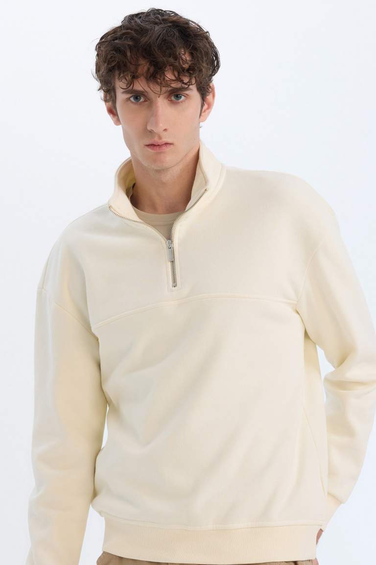 Relax Fit Stand Collar Zippered Basic Thick Sweatshirt