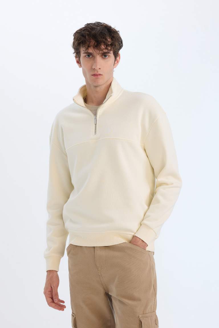 Relax Fit Stand Collar Zippered Basic Thick Sweatshirt