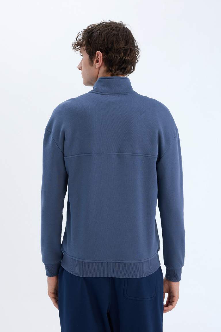 Relax Fit Stand Collar Zippered Basic Thick Sweatshirt