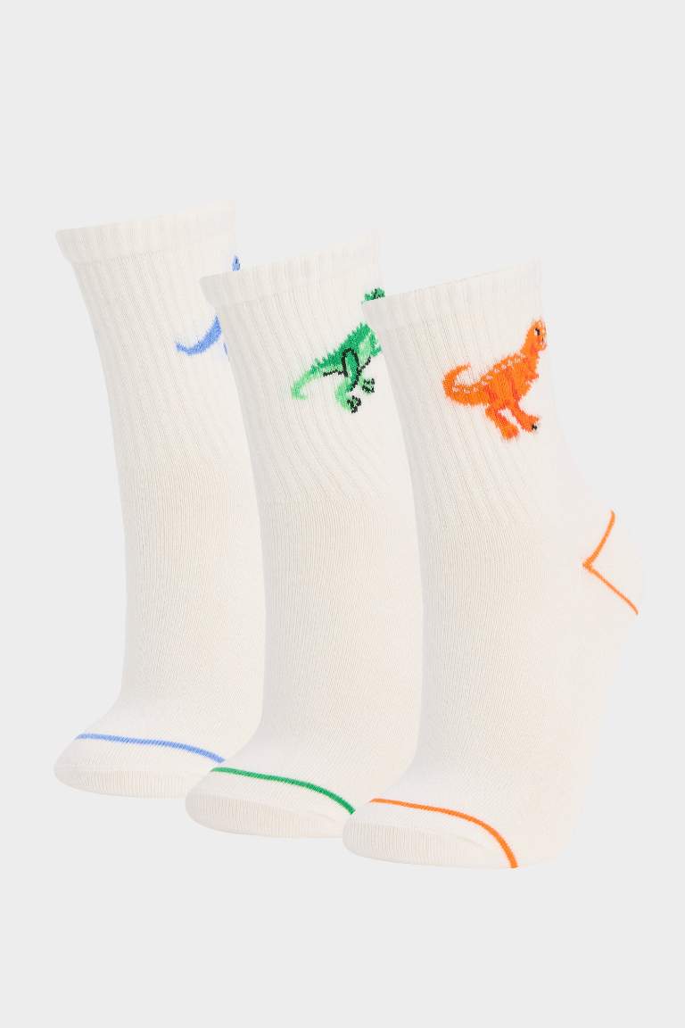 Boy Animal 3 piece Long sock