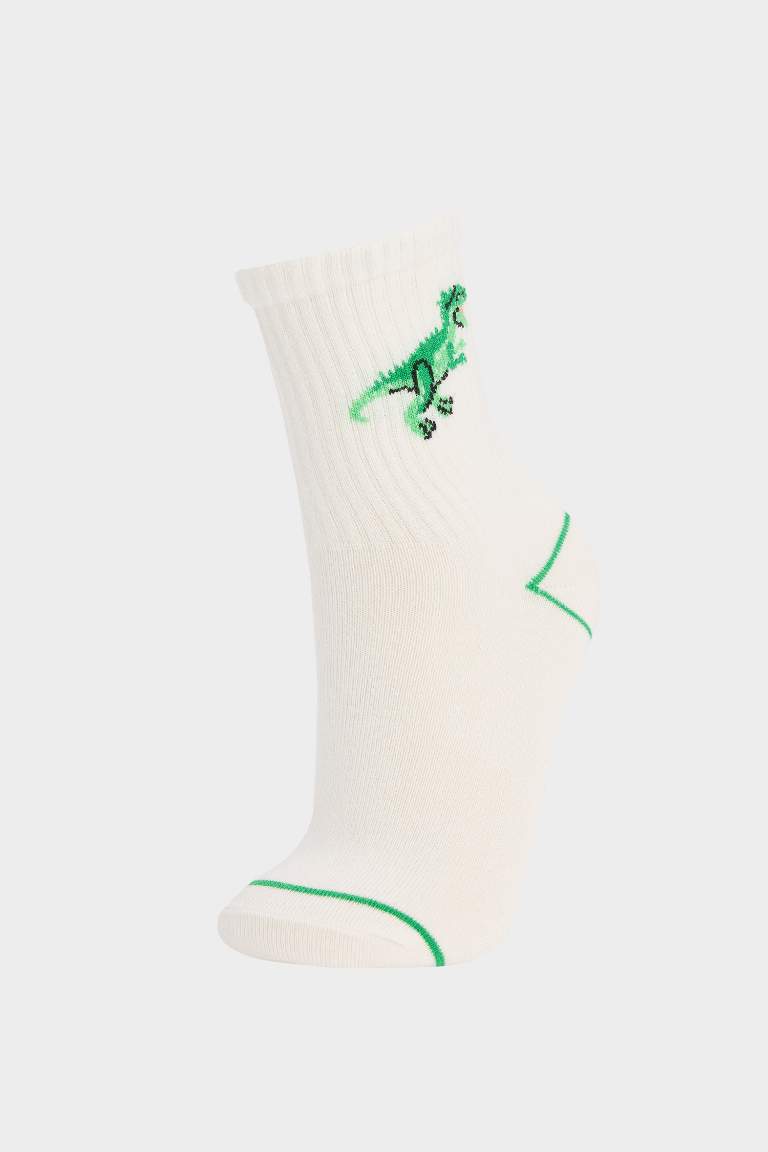 Boy Animal 3 piece Long sock