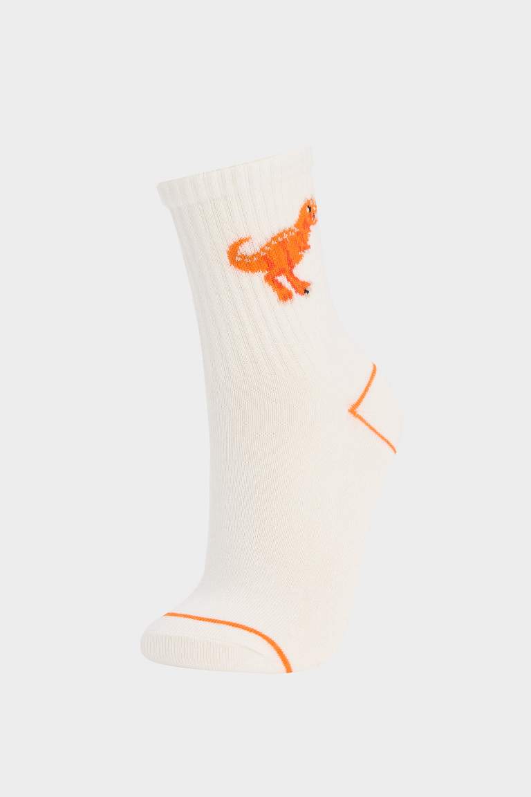 Boy Animal 3 piece Long sock