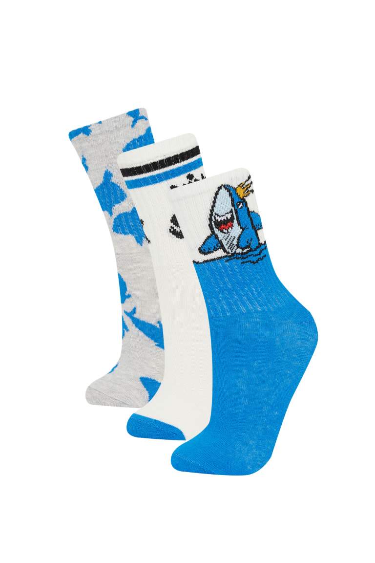 Boy 3 Piece Cotton Long Socks