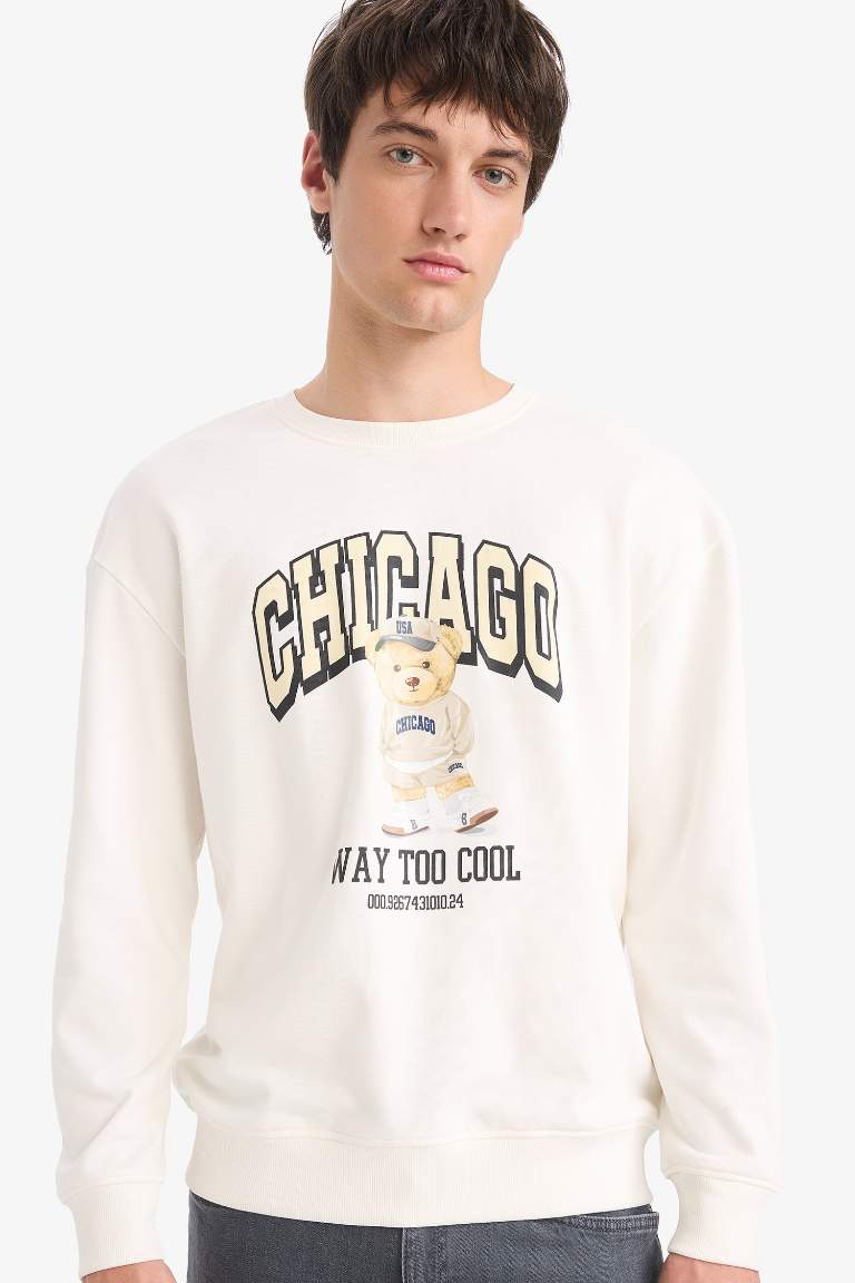 Boxy Fit Printed Sweatshirt
