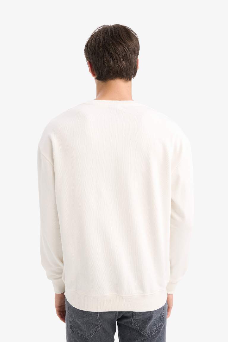 Boxy Fit Printed Sweatshirt