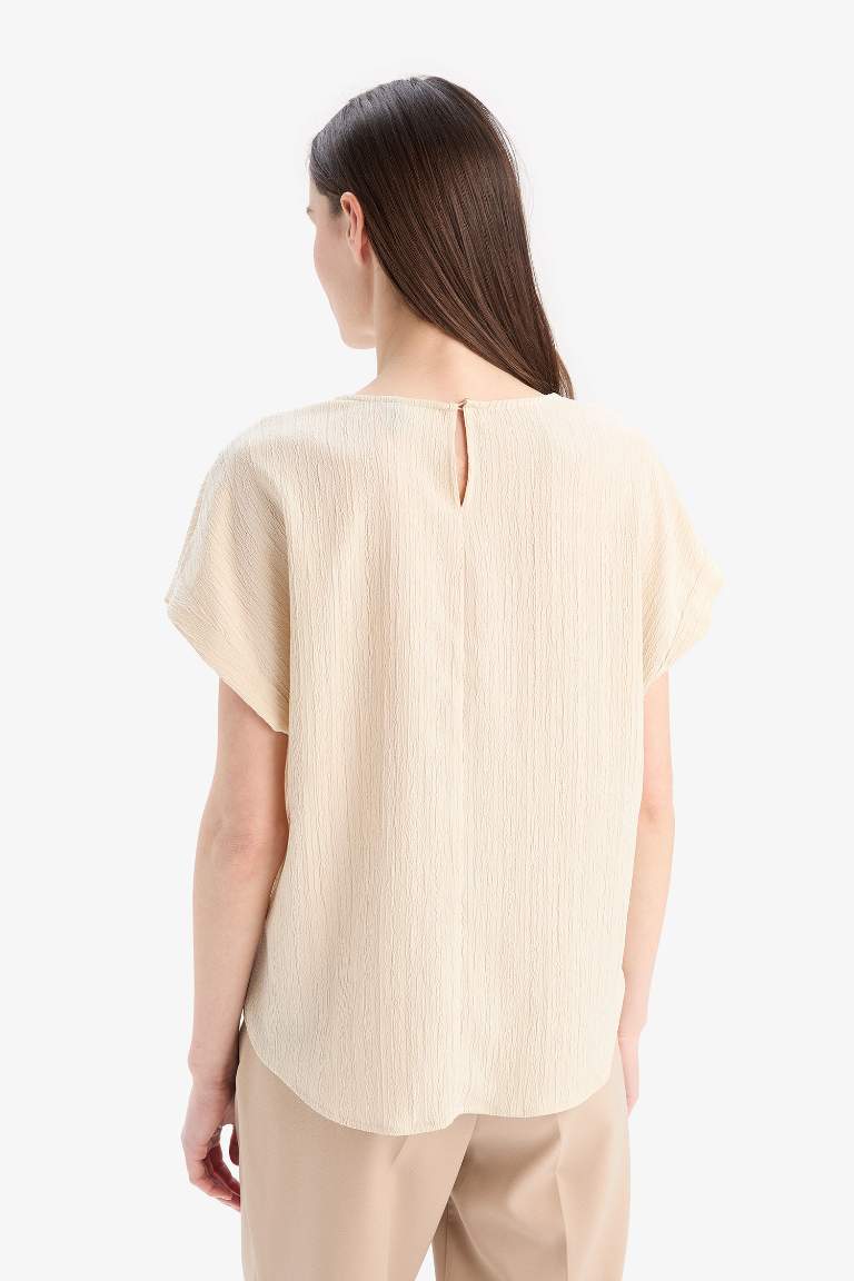 Regular Fit Crew Neck Short Sleeve Blouse