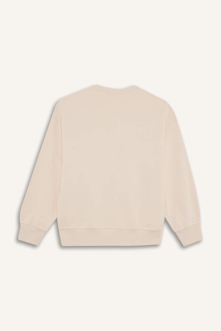 سويت شيرت بناتي اوفر سايز بياخة مستديرة