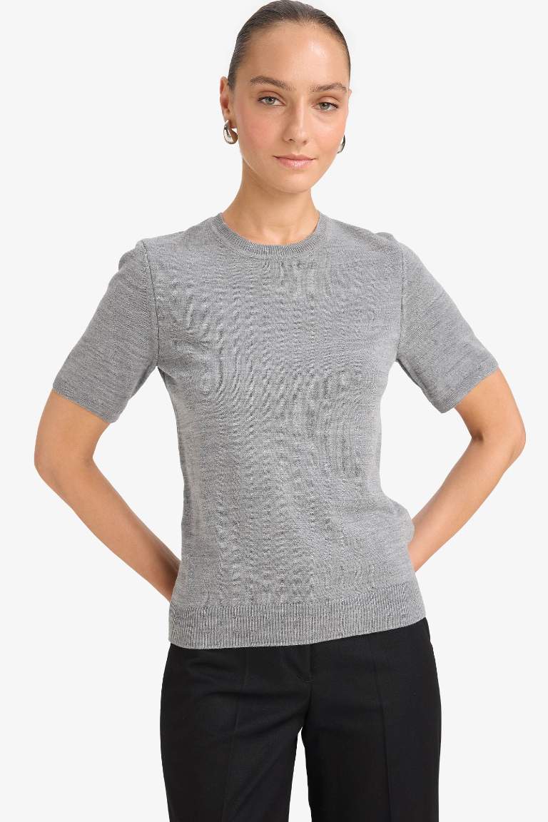 Regular Fit Crew Neck Short Sleeve Knit Pullover