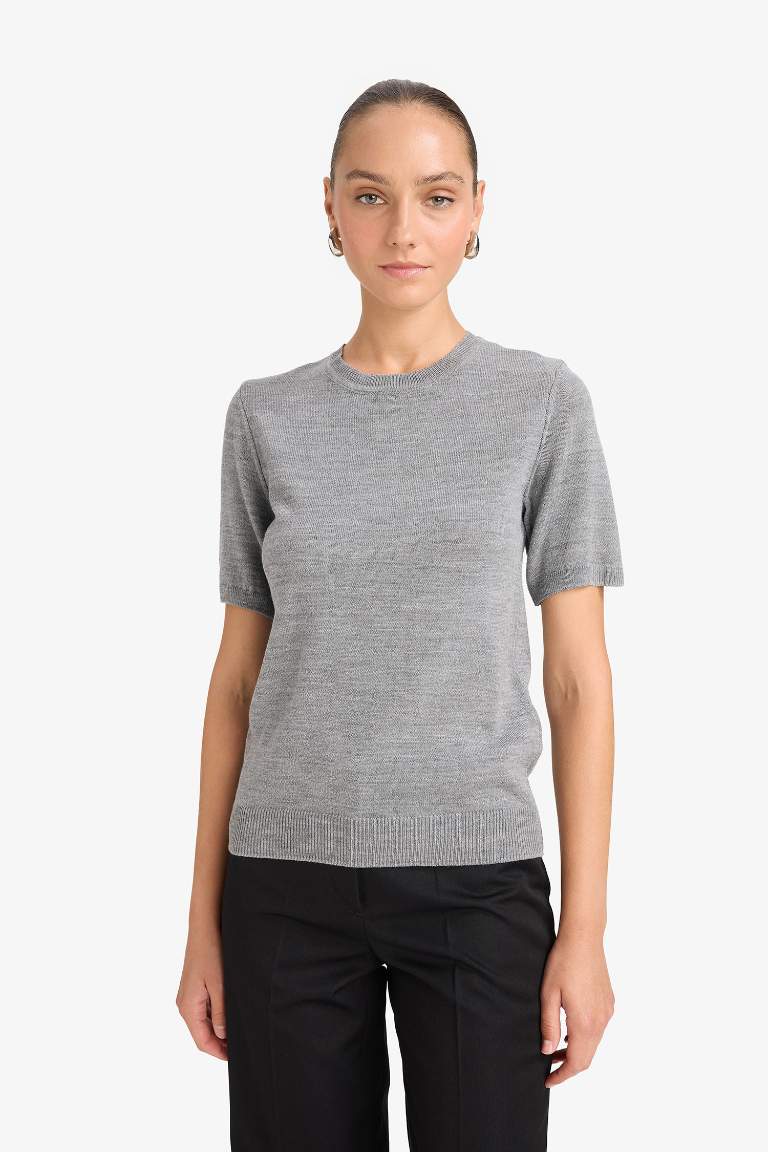Regular Fit Crew Neck Short Sleeve Knit Pullover