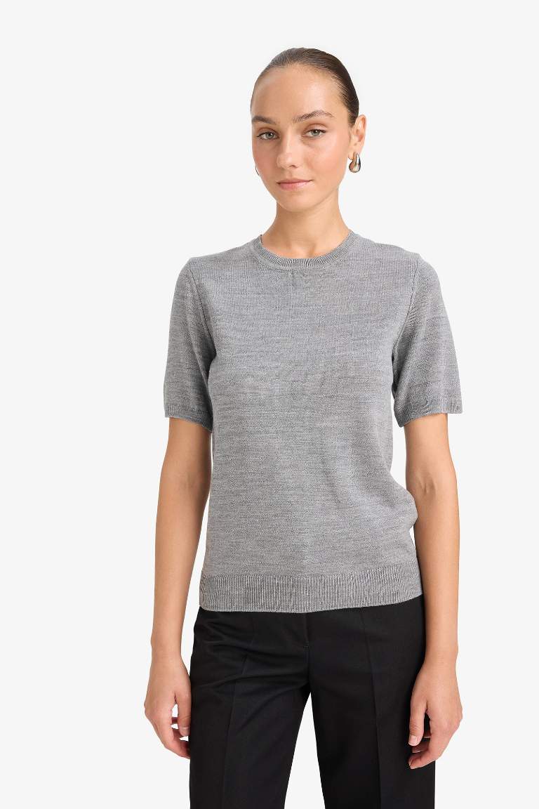 Regular Fit Crew Neck Short Sleeve Knit Pullover