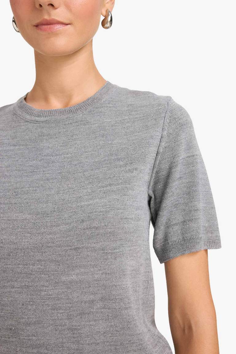 Regular Fit Crew Neck Short Sleeve Knit Pullover