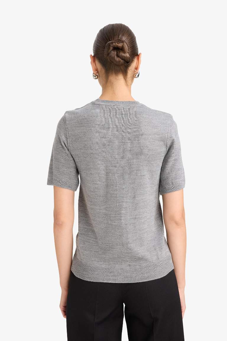 Regular Fit Crew Neck Short Sleeve Knit Pullover
