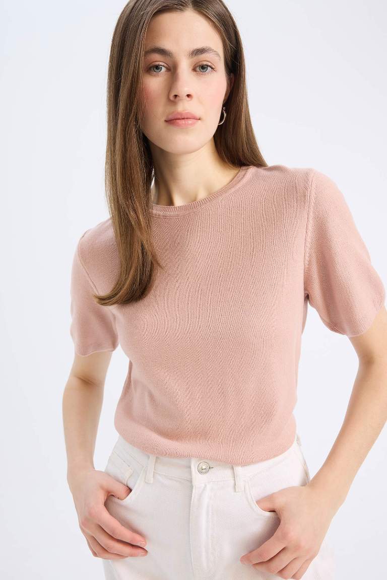 Regular Fit Basic Crew Neck Knit Pullover