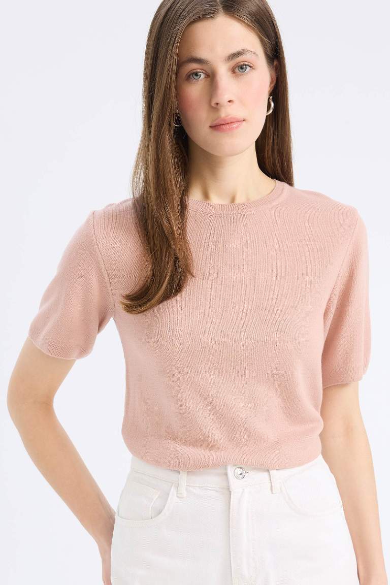 Regular Fit Basic Crew Neck Knit Pullover