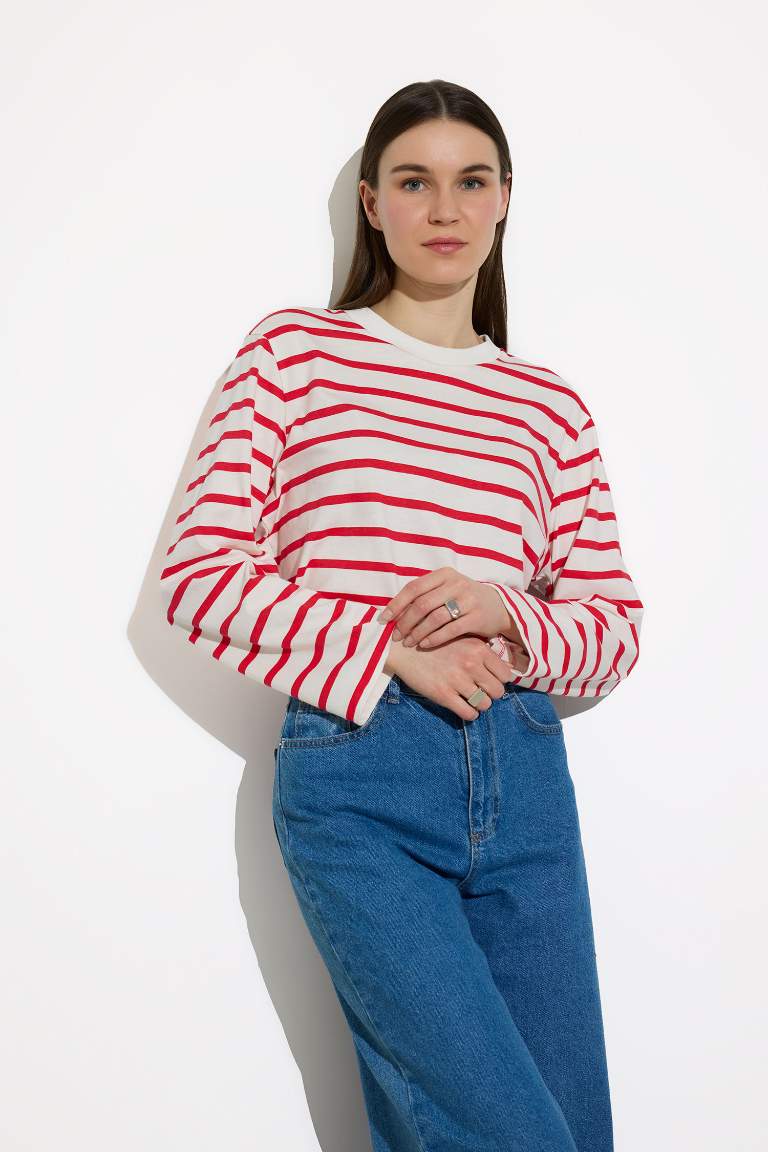 Regular Fit Striped Crew Neck Long Sleeve T-Shirt