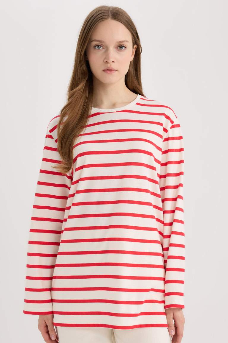 Regular Fit Striped Crew Neck Long Sleeve T-Shirt