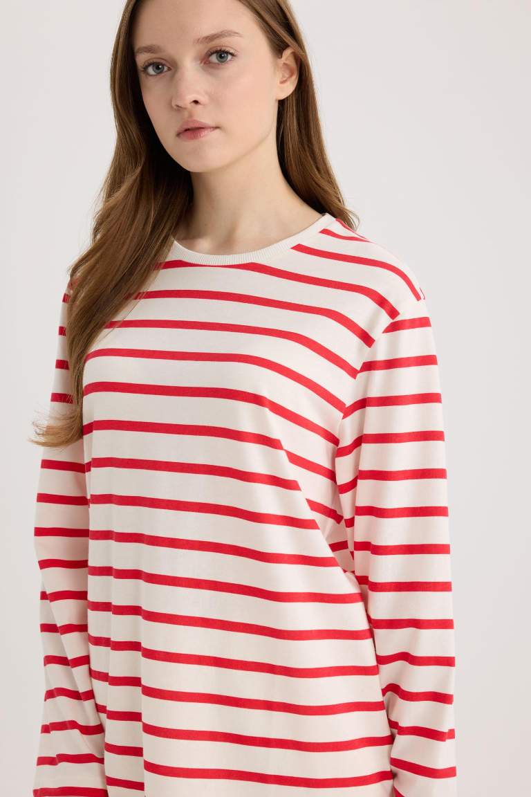 Regular Fit Striped Crew Neck Long Sleeve T-Shirt