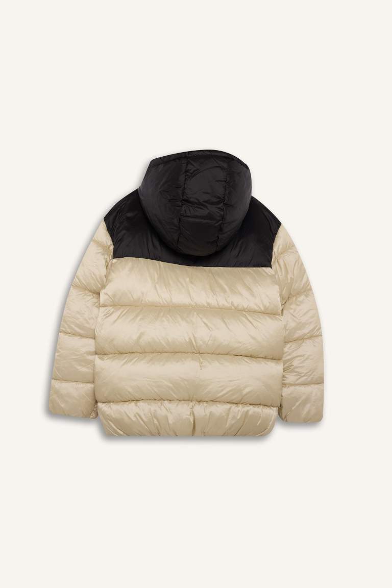 Boy Hooded Zippered Waterproof Puffer Jacket