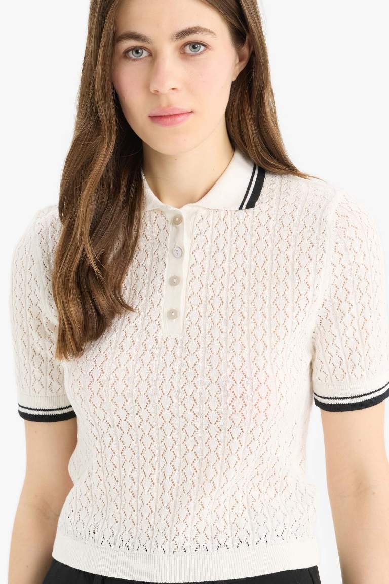 Regular Fit Polo Collar Pullover