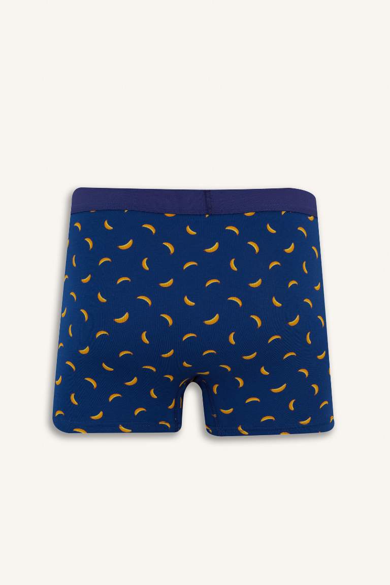 Regular Fit Meyve Desenli 3'lü Boxer