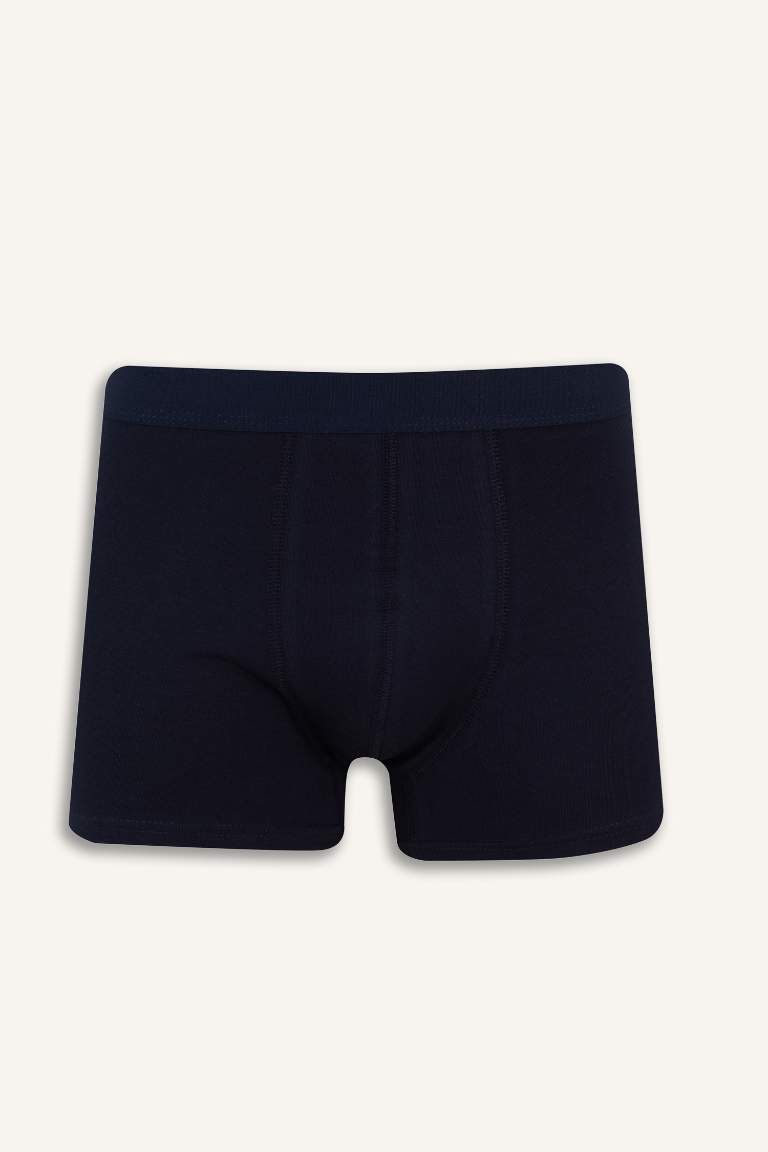 Regular Fit Meyve Desenli 3'lü Boxer