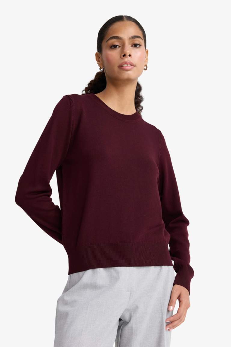 Regular Fit Crew Neck Pullover