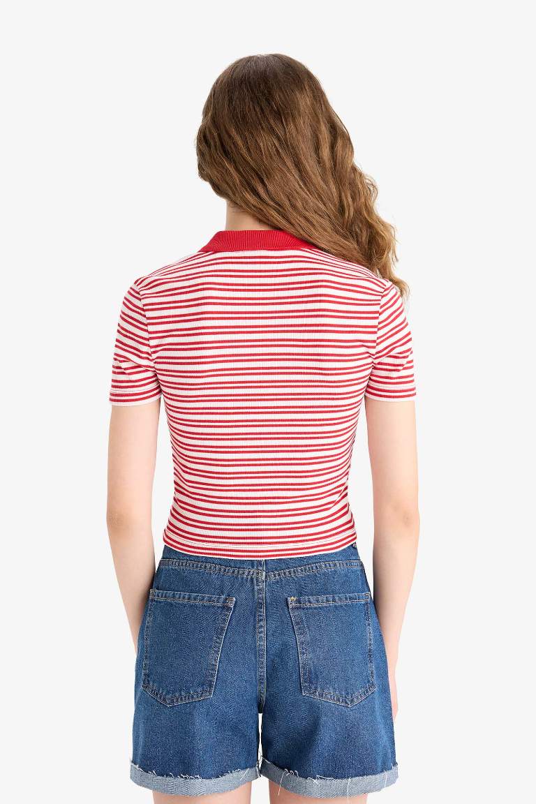Fitted Polo Yaka Çizgili Fitilli Kaşkorse Kısa Kollu Tişört