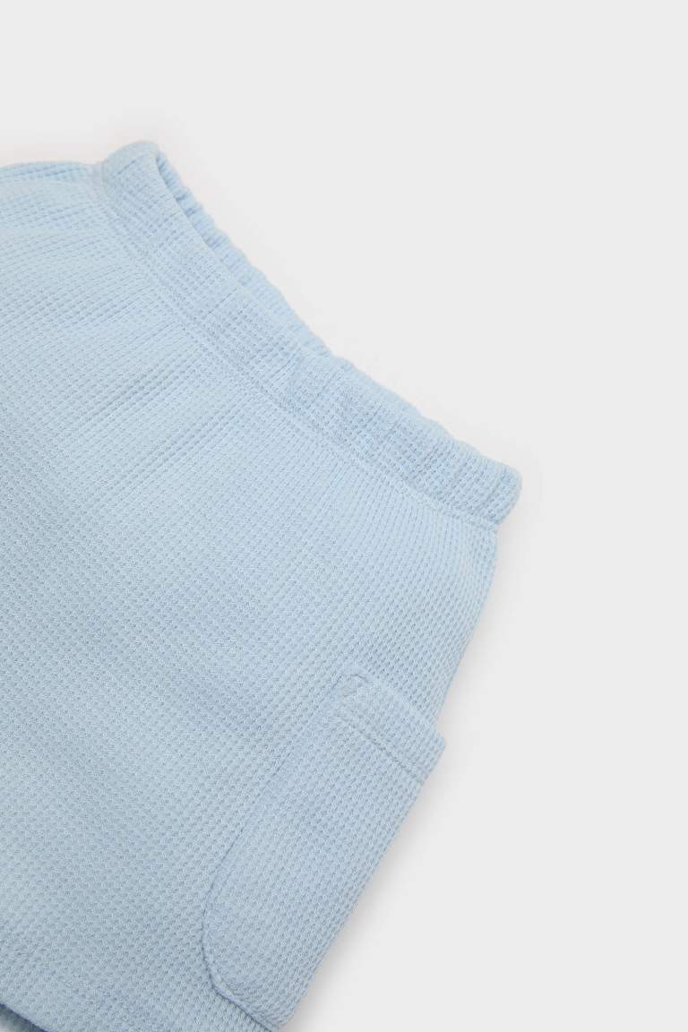 Regular Fit Elastic Band Shorts