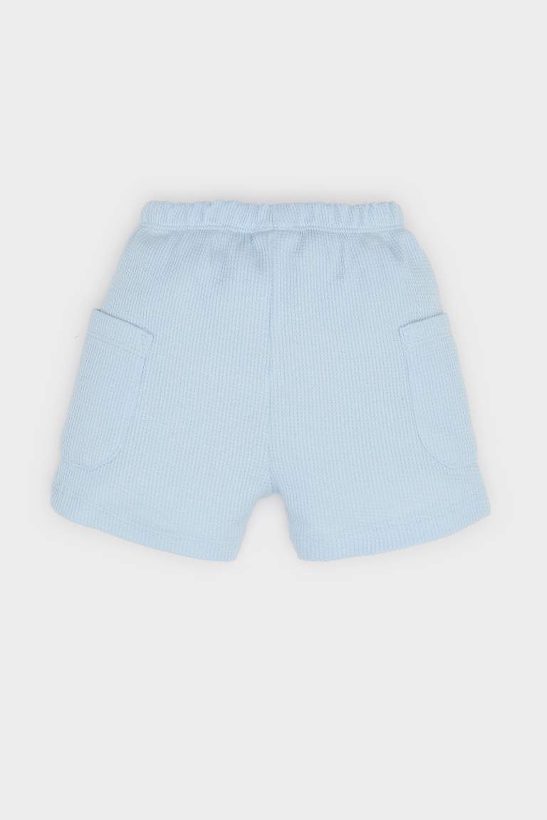 Regular Fit Elastic Band Shorts