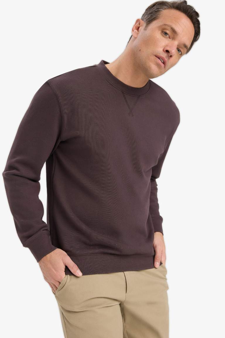 %100 Pamuk Regular Fit Bisiklet Yaka Sweatshirt