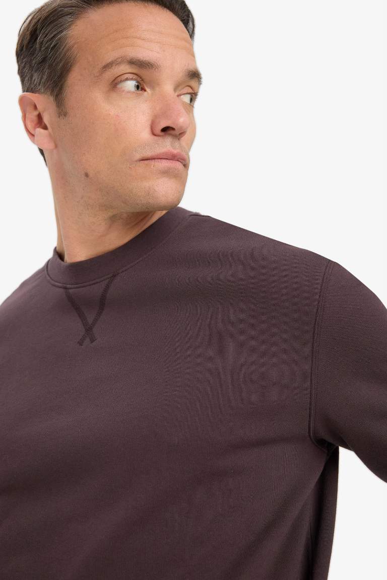%100 Pamuk Regular Fit Bisiklet Yaka Sweatshirt