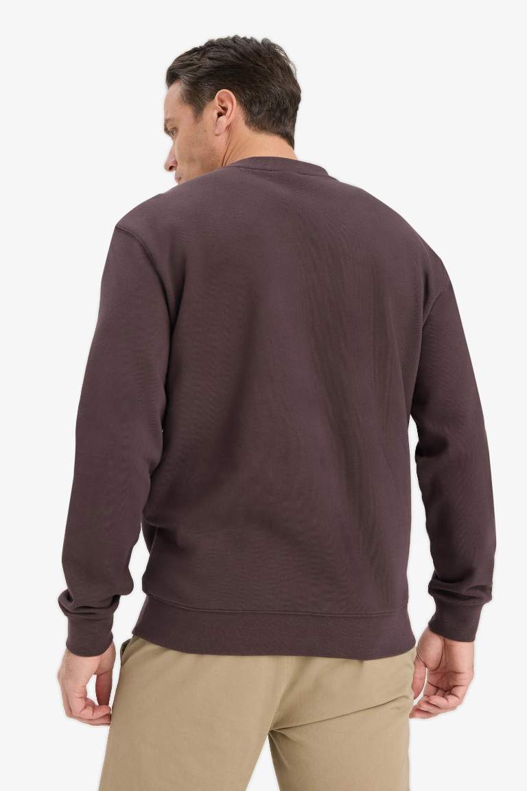 %100 Pamuk Regular Fit Bisiklet Yaka Sweatshirt