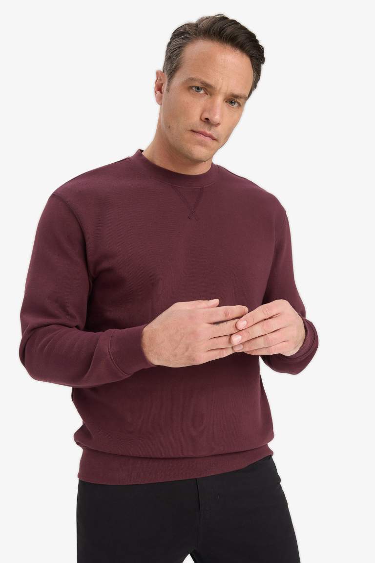Regular Fit Sweatshirt
