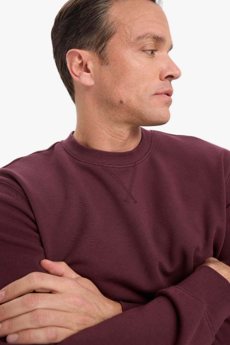Regular Fit Sweatshirt