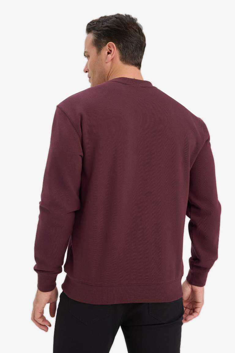 Regular Fit Sweatshirt