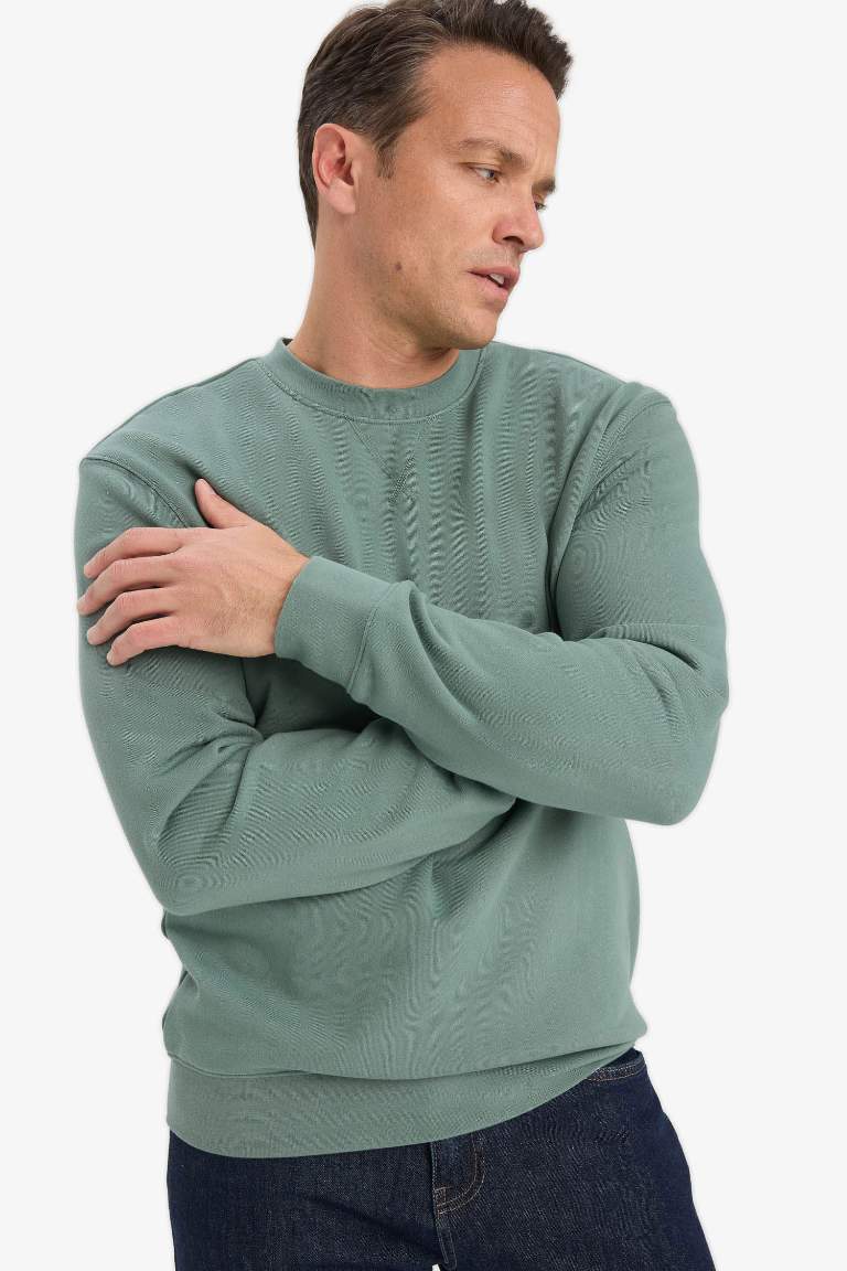 %100 Pamuk Regular Fit Bisiklet Yaka Sweatshirt